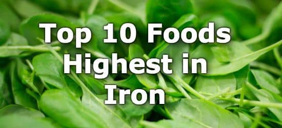 What are the best food sources of iron?