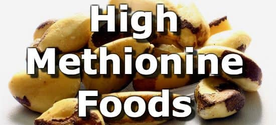 What are the top 10 foods rich in arginine?