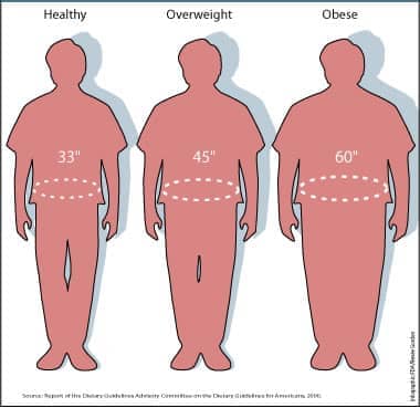 waist size BMI