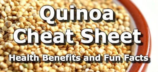 Top 5 Health Benefits of Quinoa + Nutrition Info and Fun Facts