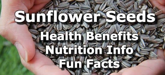 Top 5 Health Benefits of Sunflower Seeds + Nutrition Info and Fun Facts